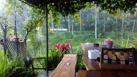 Satria Coffee Plantation
